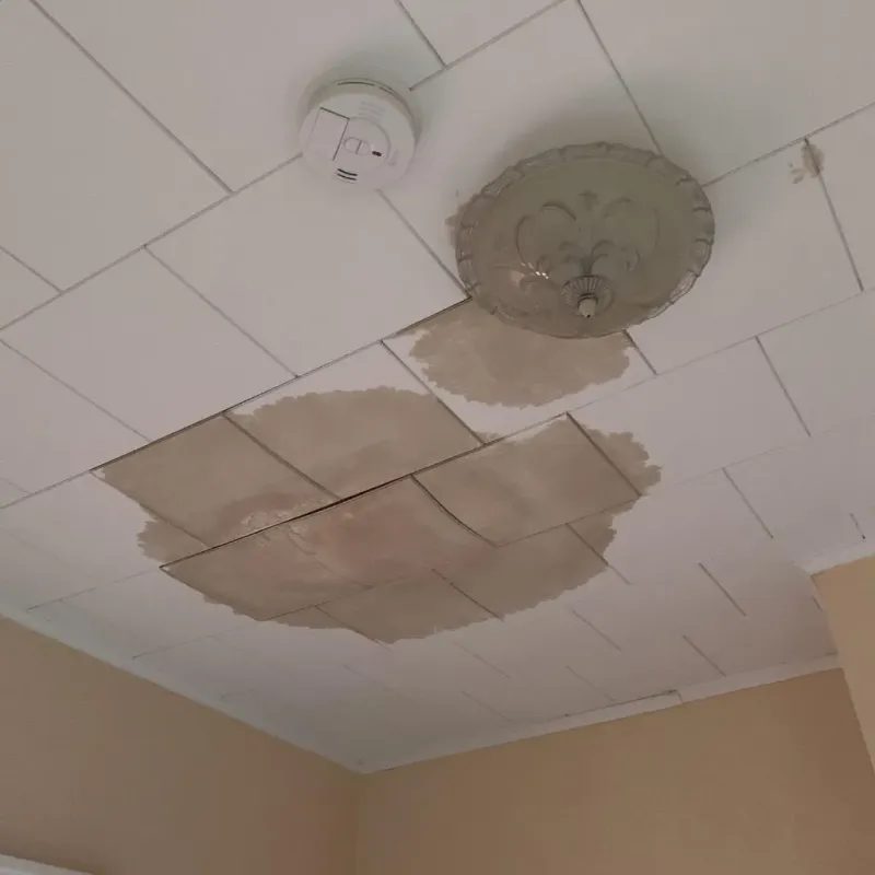 Ceiling Water Damage Repair in Tecumseh, NE