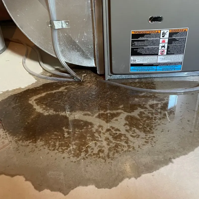 Pipe Burst and Leak Restoration in Tecumseh, NE