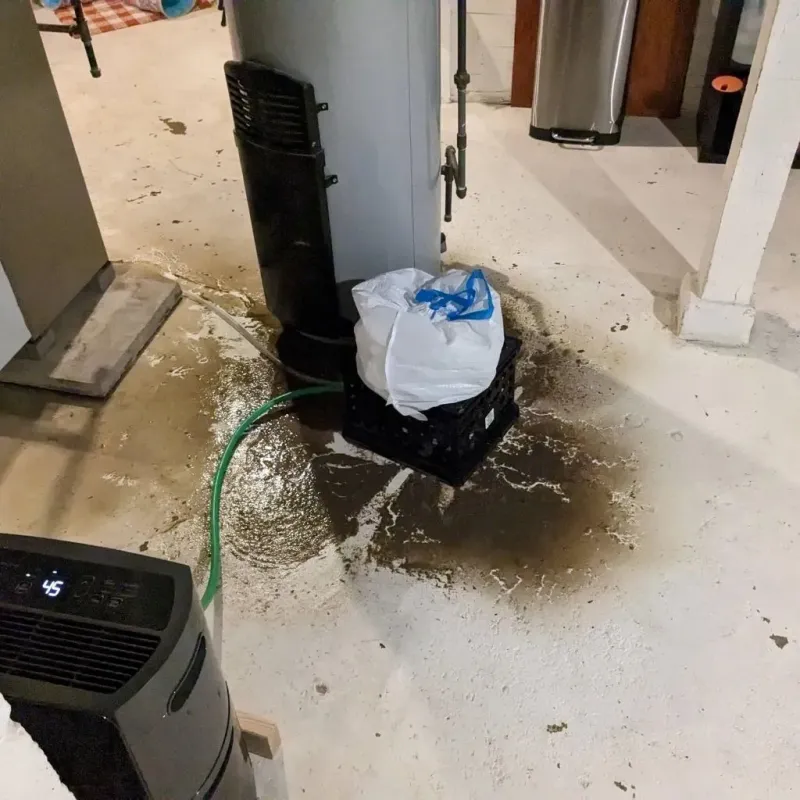 Sewage Backup Cleanup Service in Tecumseh, NE